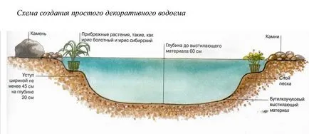 Как да се създаде изкуствено езеро в градината със собствените си ръце на основните правила на режима на езерце