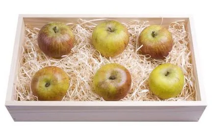 Как да запазим пролет 12 и ябълки непобедени методи производителите на заготовки за зимата
