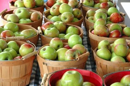 Как да запазим пролет 12 и ябълки непобедени методи производителите на заготовки за зимата