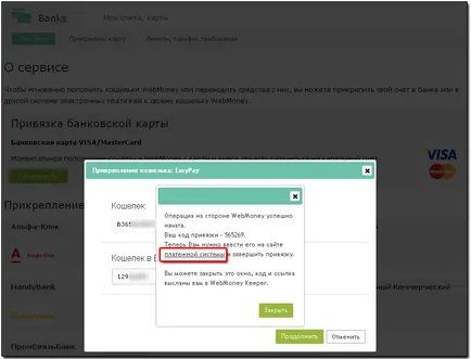 Snap чантата Easypay - WebMoney уики