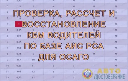 drivere de calcul CBM verificarea și rata de recuperare de bonus-malus on-line pe baza SAR AIS