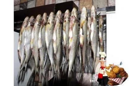 Fish prosolnaya provesnaya