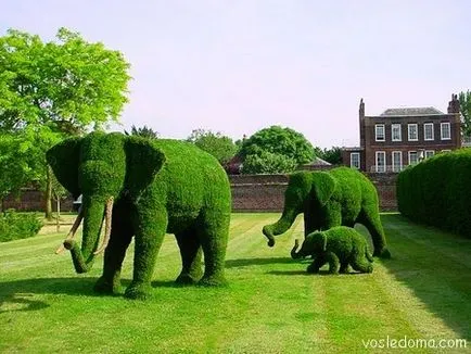 sculpturi Garden, in apropiere de casa