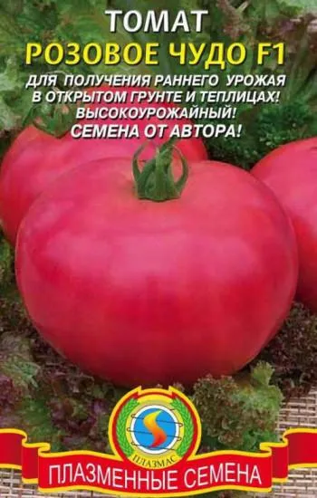 Semințele de tomate de seră polenizate, subdimensionate