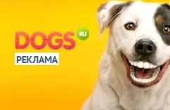 Snoop Dogg - designer kutyák!