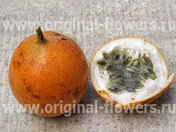 Sweet Granadilla (Passiflora ligularis) снимки, описание