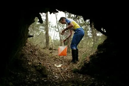 orienteering