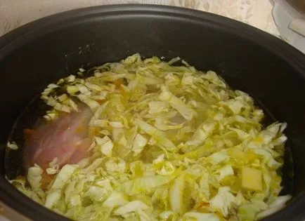 Cum de a găti supă de varză cu varză proaspătă delicioase, ls