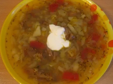 Как да се готви супа от зеле с прясно зеле вкусни ли