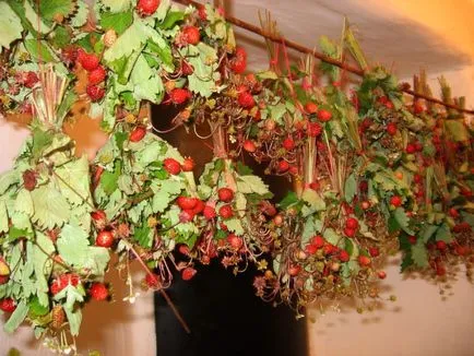 Cum să se usuce căpșunile în metodele de uscare de iarnă la domiciliu - susekam