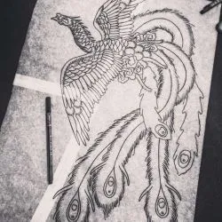 Tattoo főnix tetoválás érték, 23 fényképek, vázlatok