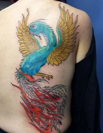 Tattoo főnix tetoválás érték, 23 fényképek, vázlatok