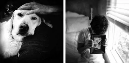 Touched până la lacrimi tribut la câine mort într-o serie de fotografii ale stăpânei ei, fotograful, umkra