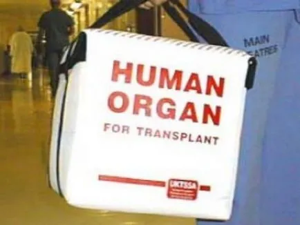 Тюмен Регионална Медицински общество - нов закон за трансплантации