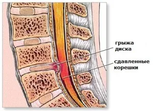 Spine Clinic (Kijev) »spine❺