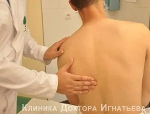 Clinica Spine (Kiev) »spine❺