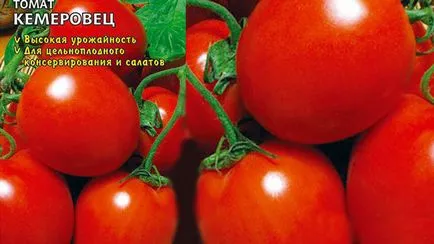 Am ales cele mai bune soiuri de tomate pentru 2017