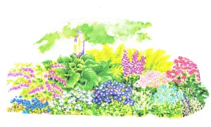 Изборът на цветя за сенчесто място, за да създадете красива градина