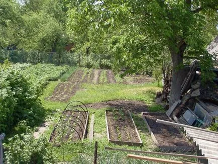 Отглеждане на краставици в изкопи, тръбопроводи