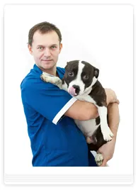 Medicii Clinica veterinara