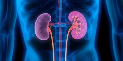 Clasificarea cronică boli de rinichi și stadiu de tratament