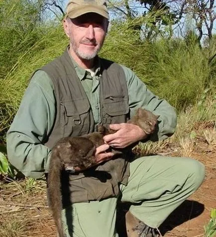 Jaguarundi - pisica sălbatică pradă (30 poze) - triniksi