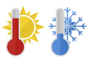 Ce temperatură răsaduri de roșii rezistente plantate la temperatura optimă în tomate