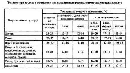 Какво устойчиви на температура доматен разсад, засадени на оптимална температура в домати