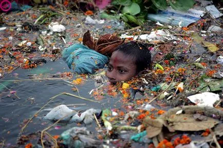 22 Ghastlier фото-факт за това как боклука убива нашата планета - faktrum