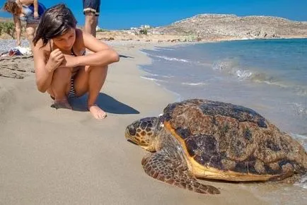 Zakynthos Repülőtér és hogyan lehet eljutni a szállodába szállítás és autókölcsönzés