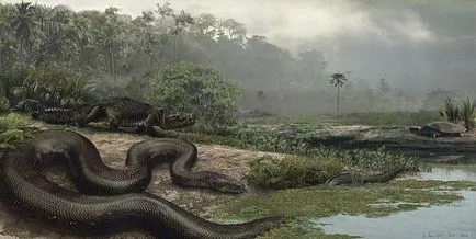 Anaconda, Titanoboa, kockás piton - a legnagyobb kígyó a világon