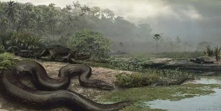 Anaconda, TITANOBOA CERREJONENSIS, piton reticulat - cel mai mare sarpe din lume