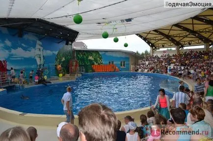 Anapa Delfinárium Nemo Anapa - „fontos! Nemo dolphinarium Anapa nem maradhat anélkül, hogy jegyet