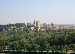 Avignon, Franța