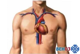 Atherosclerosis az aorta a szív a hasi aorta, szívkoszorúerek
