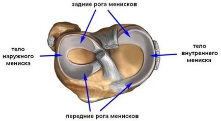 rezecția artroscopica a meniscului articulației genunchiului, efectele și recuperarea