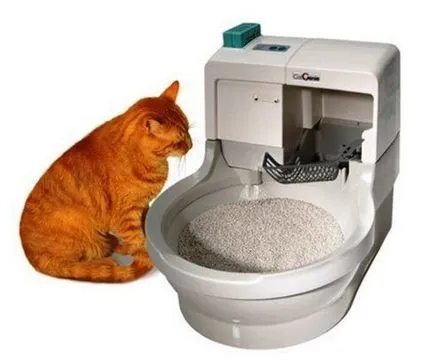Automata öntisztító száraz szekrényben macskáknak