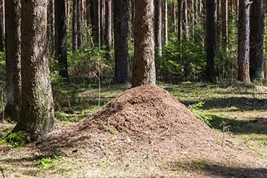 Üdülőközpont Poroshin véleménye, fotók, irányokat, Kirov