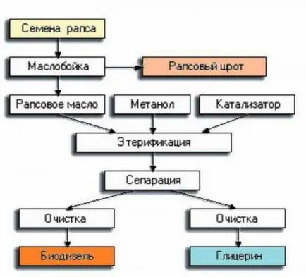 Биодизел свои ръце на производството и използването на