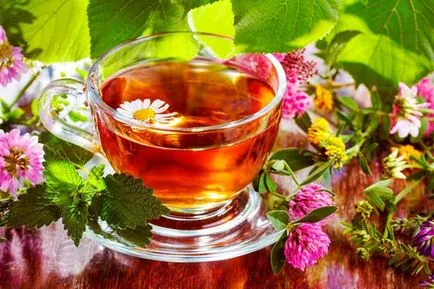 Tea készült lóhere előnyei és hátrányai az elkészített ital