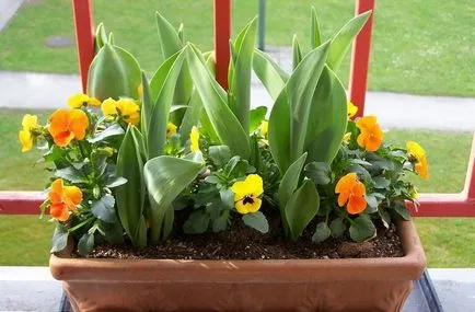 Цветя в кутии за скоби балкон с цветя, с титуляр, висулка монтаж, видео