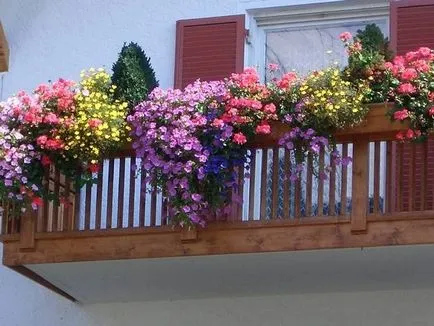 Flori in cutii de pe suporturile de balcon cu flori, cu suport, pandantiv de montare, video