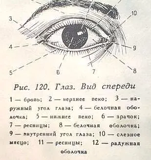 Осъществяване очите на пластмаси