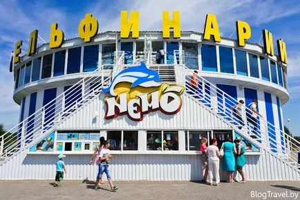 Делфинариум Nemo в Минск - изглед и плуване с делфини