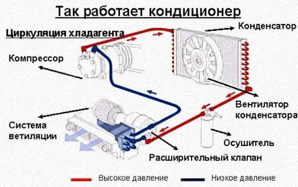 Diagnózis az Audi, Volkswagen, Seat, Skoda Moszkva CAO