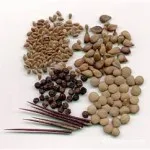 semințe și semințe de inlaying Coated