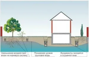 Drainhole принцип на работа, веригата и устройството