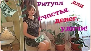 Dollar Tree (Zamioculcas) вярвания и суеверия