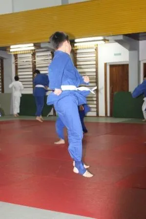 Judo - díjas művészeti