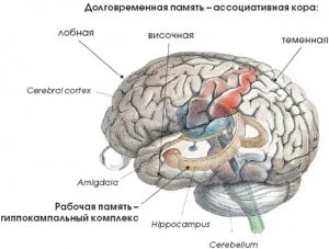 Електрическа стимулация като не-фармакологично лечение на аутизъм